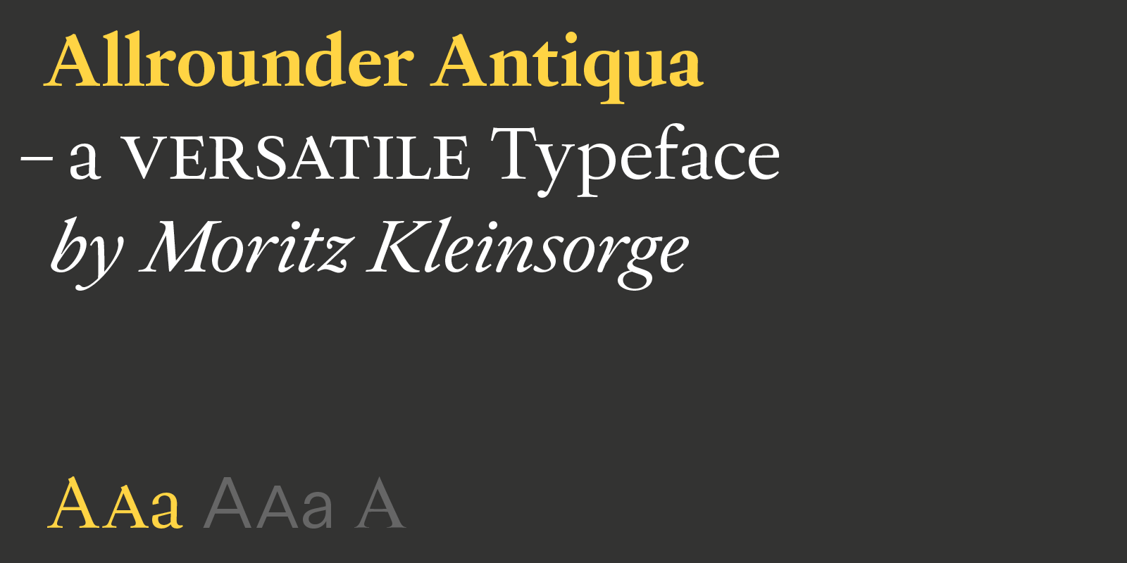 Allrounder Antiqua Type Design
