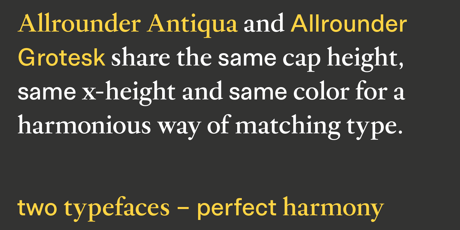 Allrounder Antiqua Type Design