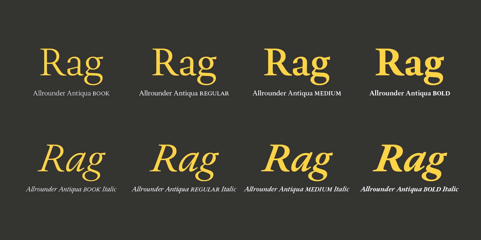 Allrounder Antiqua Type Design