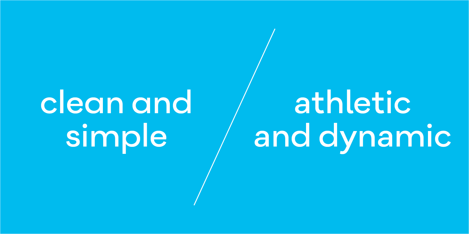 Flink Type Design