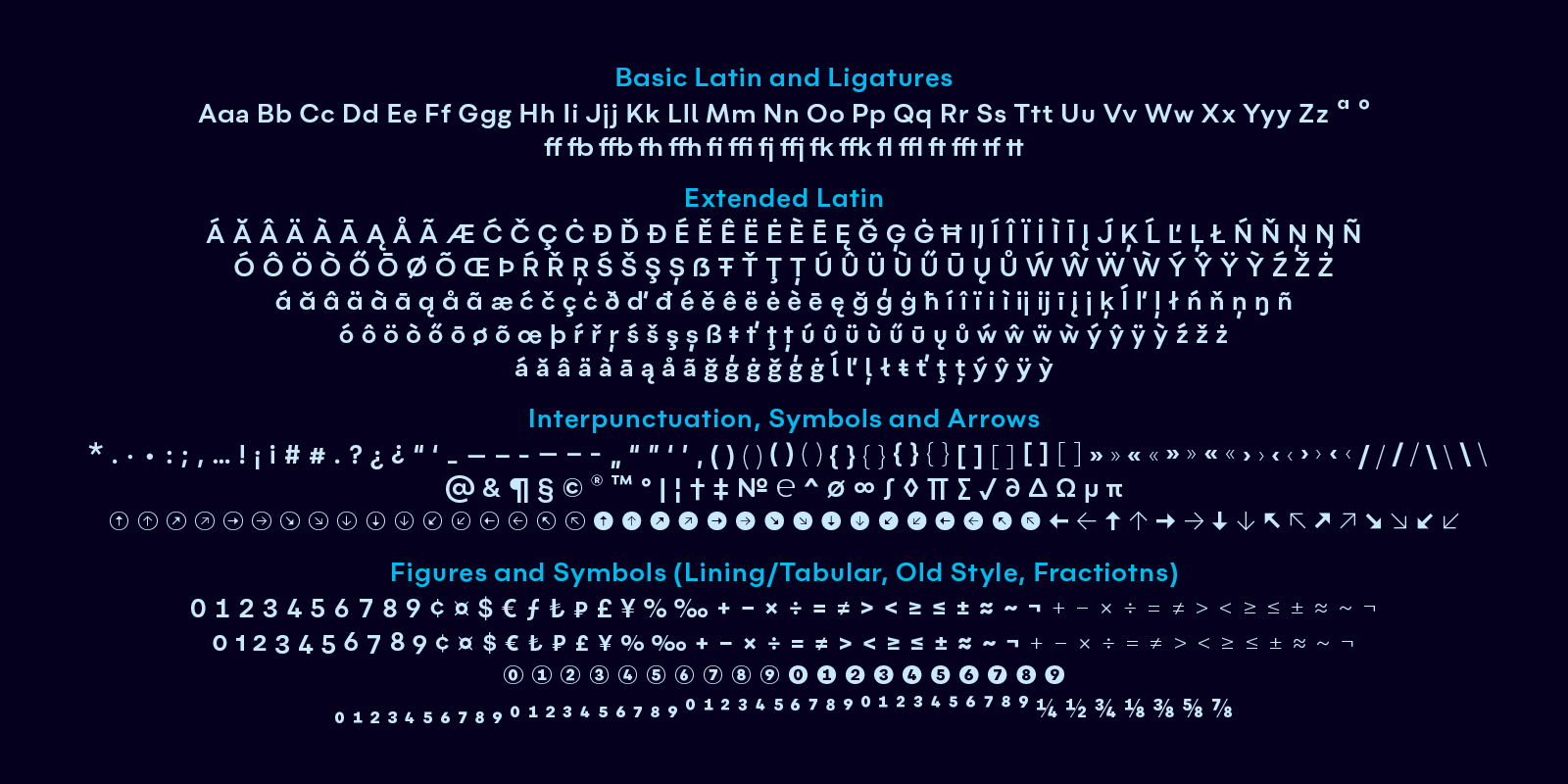 Flink Type Design