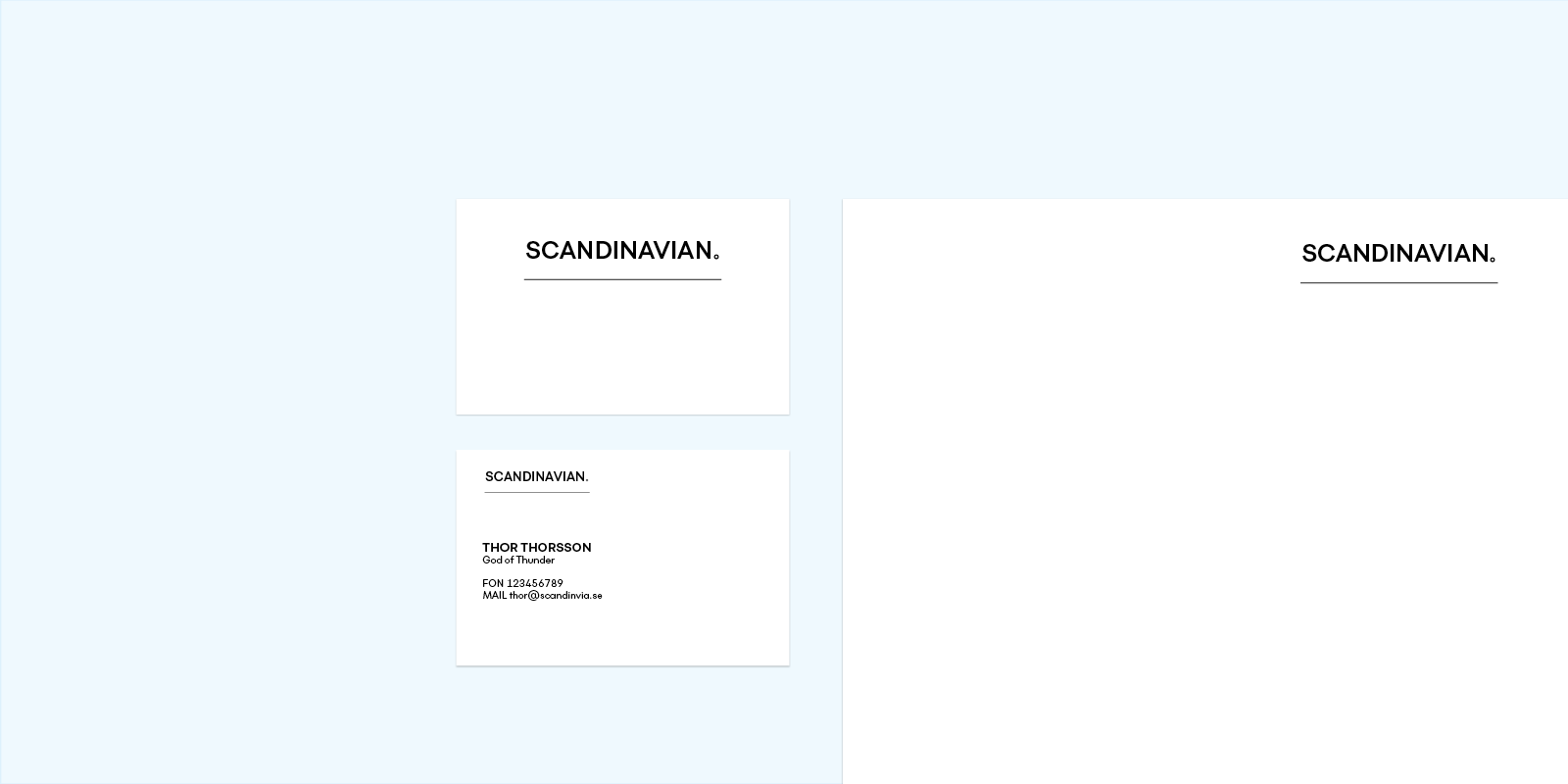 Flink Type Design